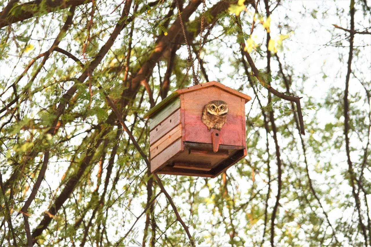 Ranthambhore Bagh Dwar Camp Khilchīpur 外观 照片